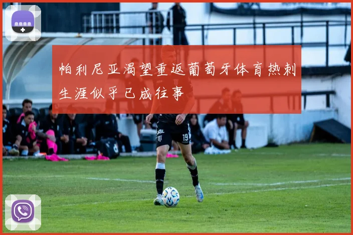 帕利尼亚渴望重返葡萄牙体育热刺生涯似乎已成往事