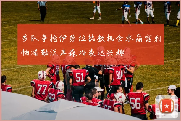 多队争抢伊劳拉执教机会水晶宫利物浦勒沃库森均表达兴趣